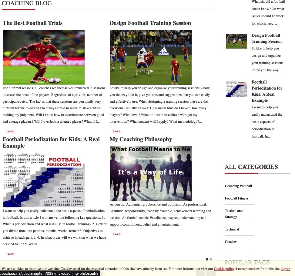 Project I worked on: Professional Football Coach